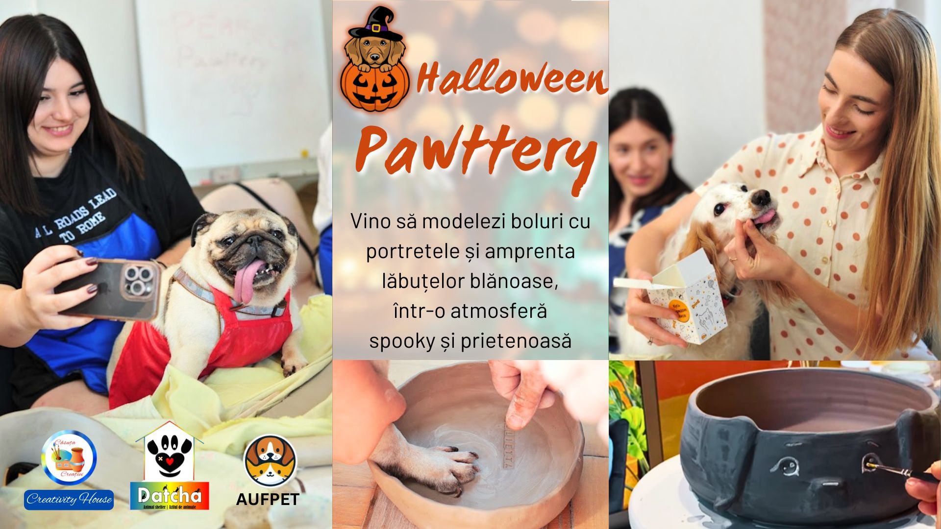 Halloween Pawttery: Distracție și Creativitate cu Patrupedul Tău! 