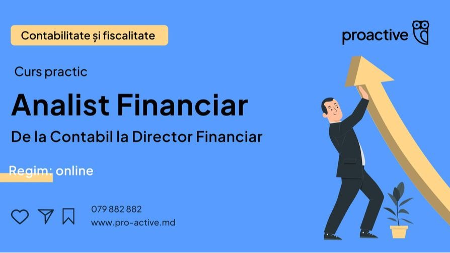 Curs practic:  Analist Financiar 