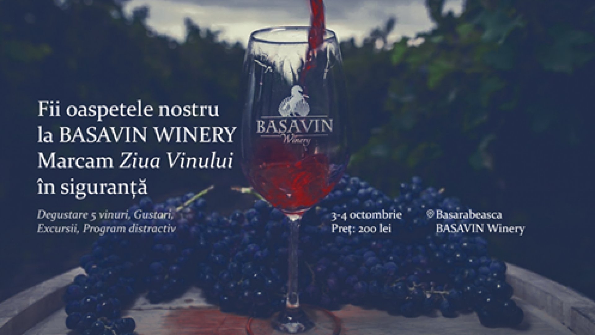 Ziua Vinului la BASAVIN Winery 2020