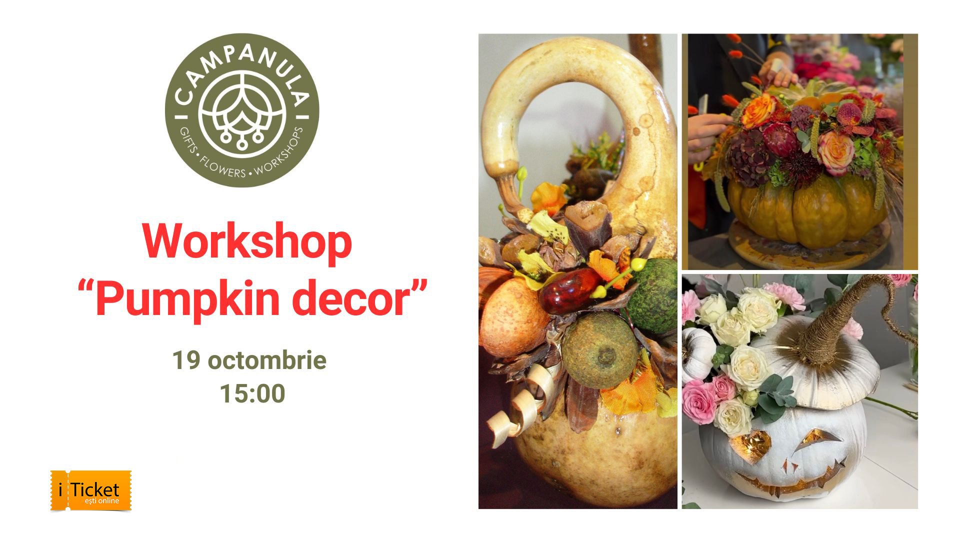 Workshop „Pumpkin decor”