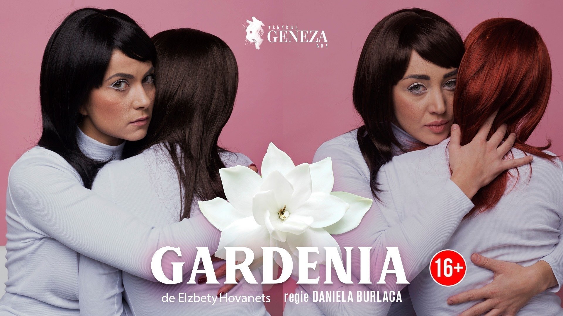 Gardenia  Iunie 2022