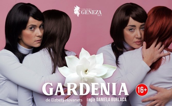 Gardenia Iunie 2022