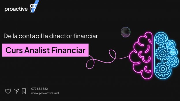 Curs practic:  Analist Financiar 