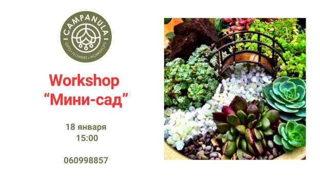 Workshop "Мини-Сад" 