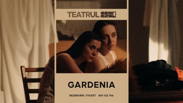 Gardenia 