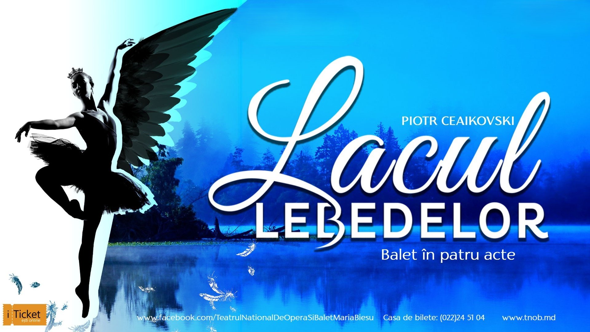 LACUL LEBEDELOR