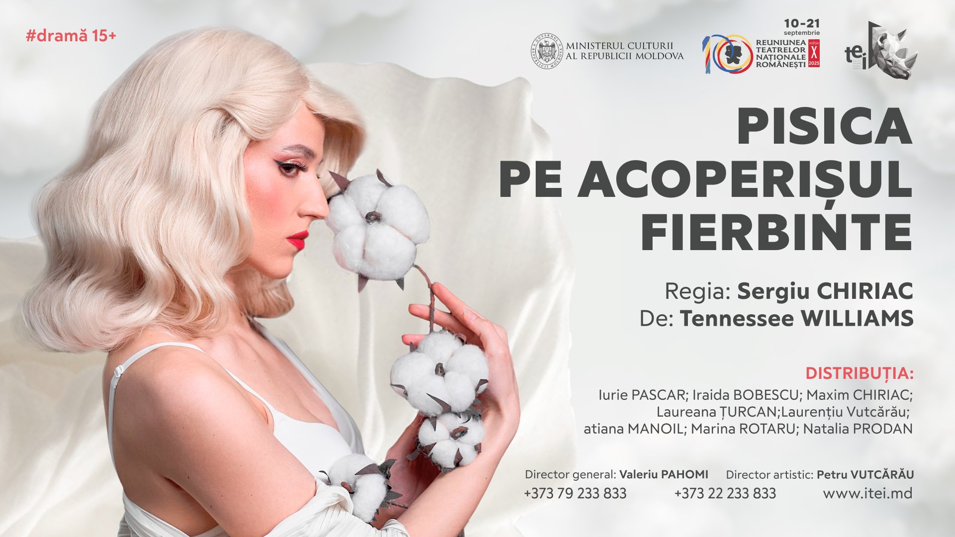 Pisica pe acoperișul fierbinte 13.09 