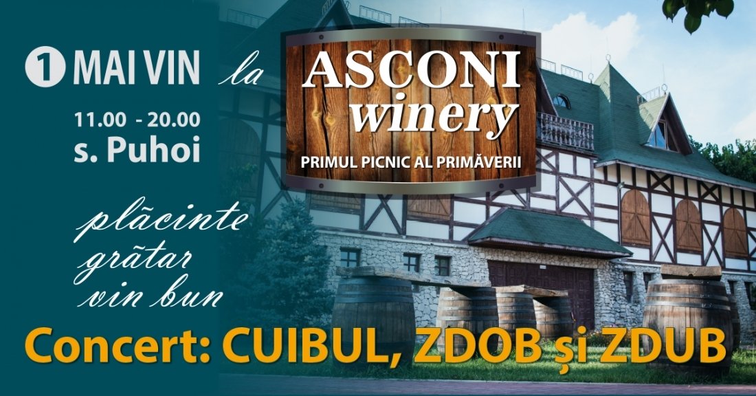 Mai Vin la Asconi Winery