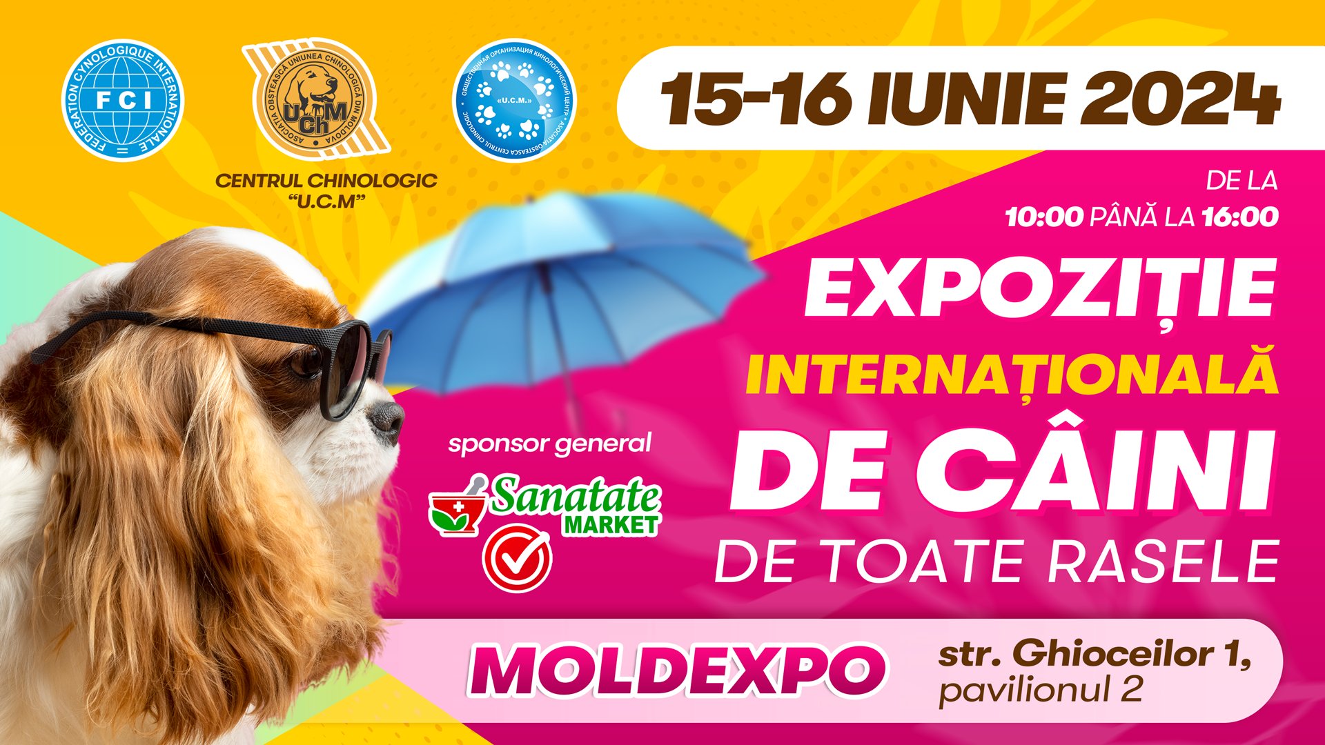 EXPOZIȚIE INTERNAȚIONALĂ DE CÂINI DE TOATE RASELE