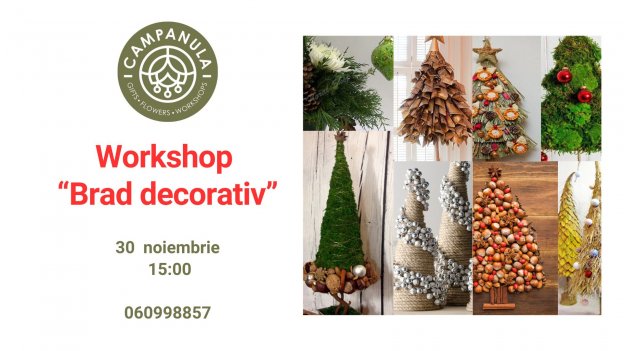 Workshop „Brad decorativ” | 30 Noiembrie 