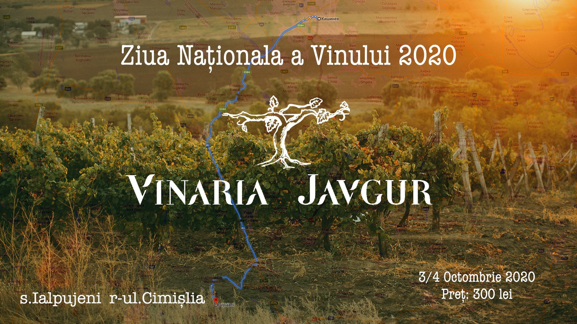 Ziua Nationala a Vinului impreuna cu Vinaria Javgur