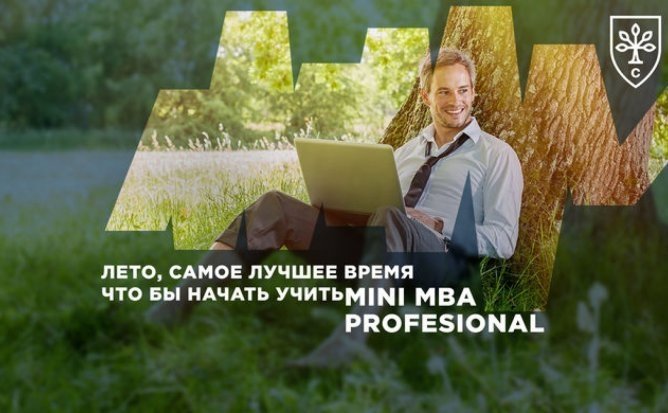 Mini-MBA Professional