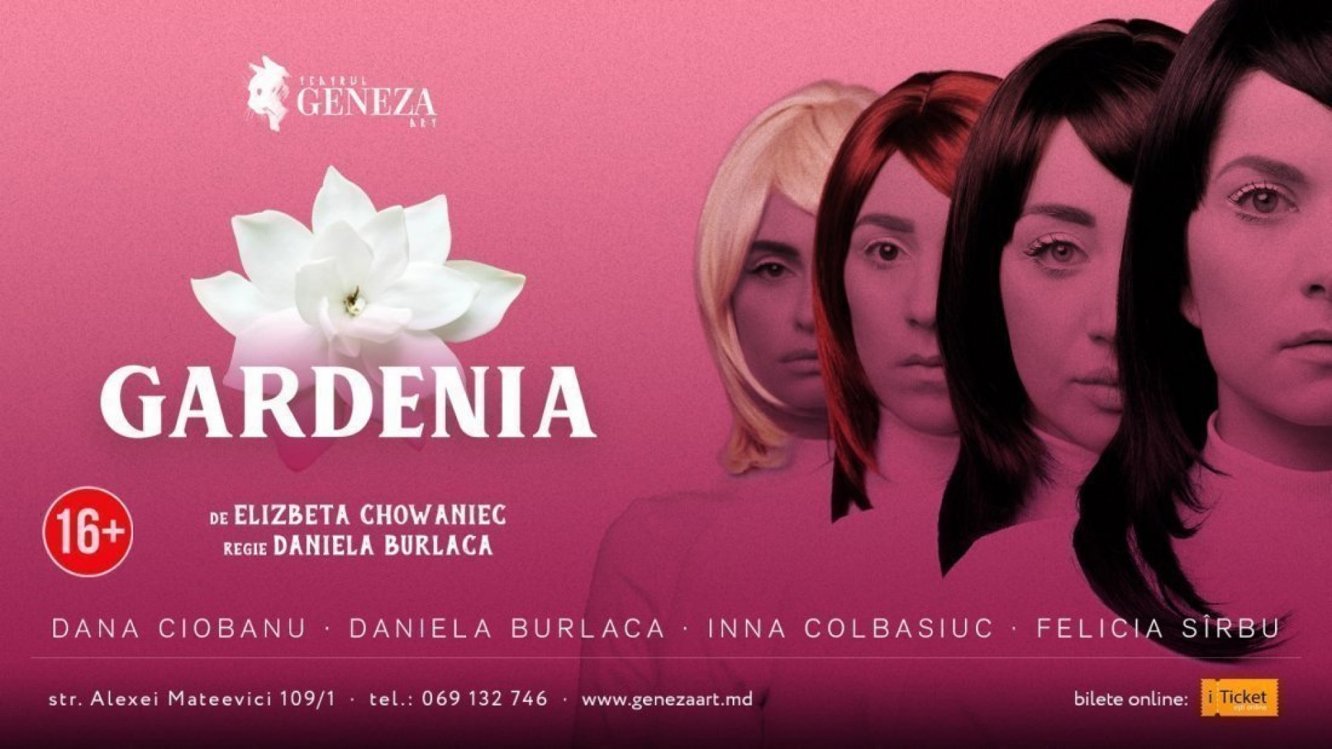 Gardenia septembrie 2020