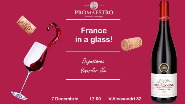 Masterclass „France in a glass!”